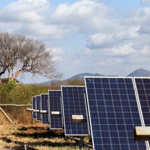 rows of solar panels